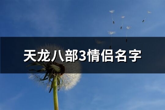 天龙八部3情侣名字(210个)