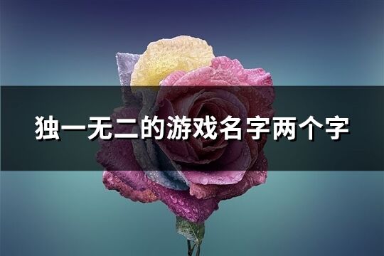 独一无二的游戏名字两个字(共652个)