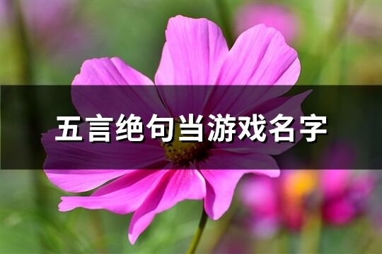 五言绝句当游戏名字(共176个)