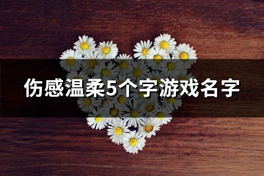 伤感温柔5个字游戏名字(共790个)