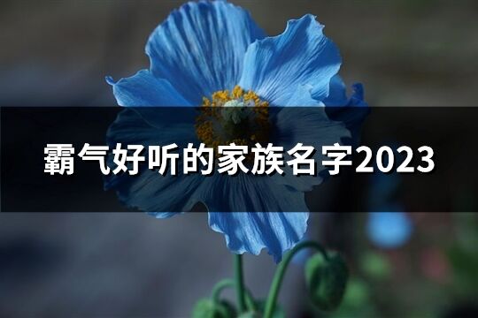 霸气好听的家族名字2023(30个)