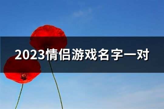 2023情侣游戏名字一对(优选394个)