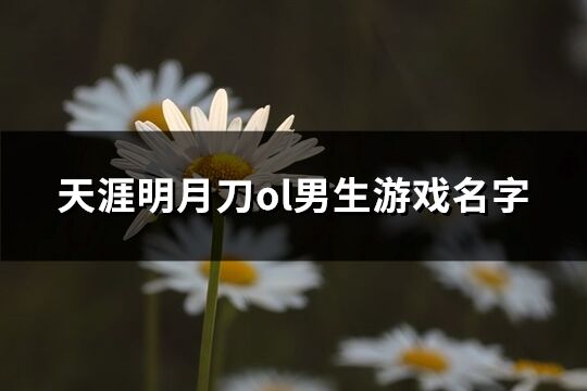 天涯明月刀ol男生游戏名字(优选355个)