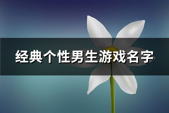 经典个性男生游戏名字(共284个)