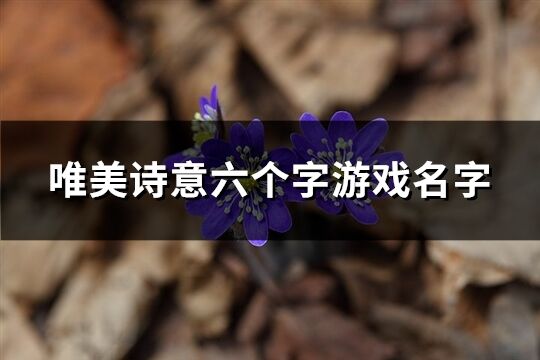 唯美诗意六个字游戏名字(精选599个)