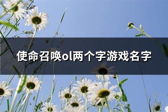 使命召唤ol两个字游戏名字(451个)