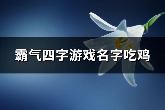 霸气四字游戏名字吃鸡(共564个)