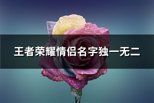 王者荣耀情侣名字独一无二(优选217个)