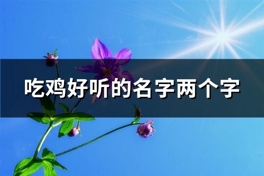 吃鸡好听的名字两个字(精选638个)