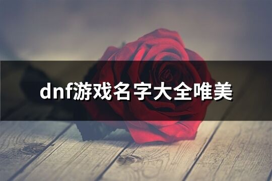 dnf游戏名字大全唯美(精选147个)