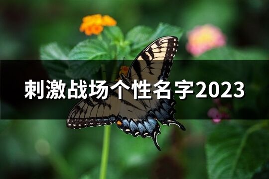 刺激战场个性名字2023(1072个)