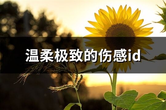 温柔极致的伤感id(81个)