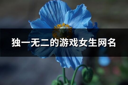 独一无二的游戏女生网名(共472个)