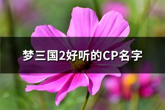 梦三国2好听的CP名字(优选90个)