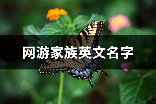 网游家族英文名字(优选69个)