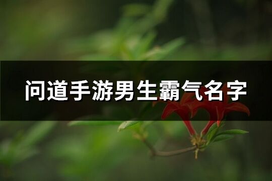 问道手游男生霸气名字(优选468个)