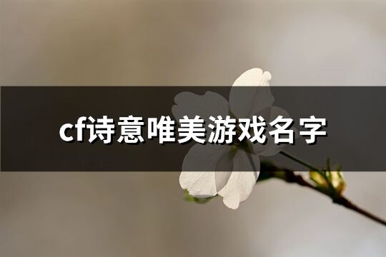 cf诗意唯美游戏名字(267个)