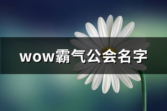 wow霸气公会名字(优选380个)