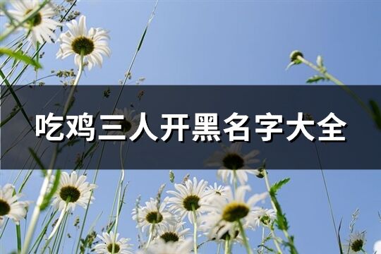 吃鸡三人开黑名字大全(优选183个)