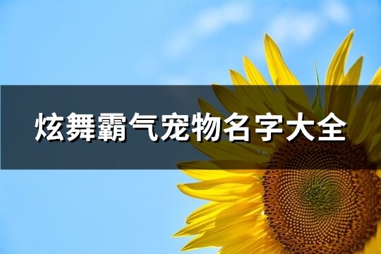 炫舞霸气宠物名字大全(精选245个)