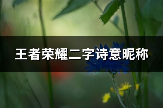 王者荣耀二字诗意昵称(优选243个)