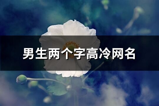 男生两个字高冷网名(优选517个)