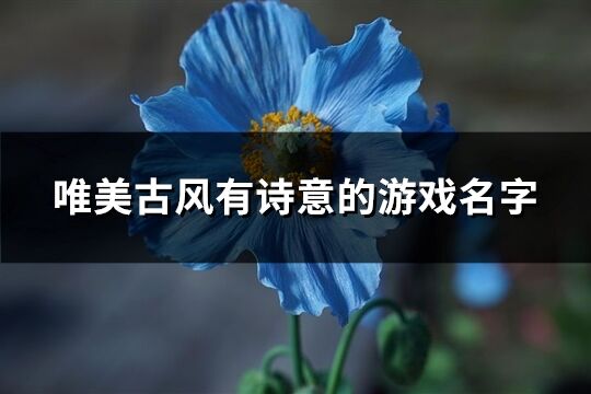 唯美古风有诗意的游戏名字(精选1133个)