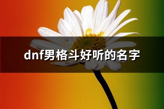 dnf男格斗好听的名字(优选146个)