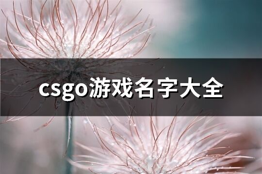 csgo游戏名字大全(优选234个)