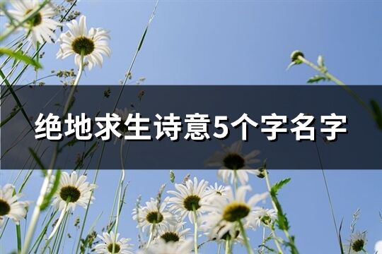 绝地求生诗意5个字名字(精选492个)