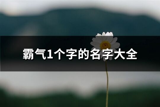 霸气1个字的名字大全(136个)