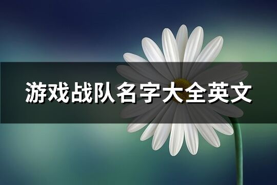 游戏战队名字大全英文(90个)