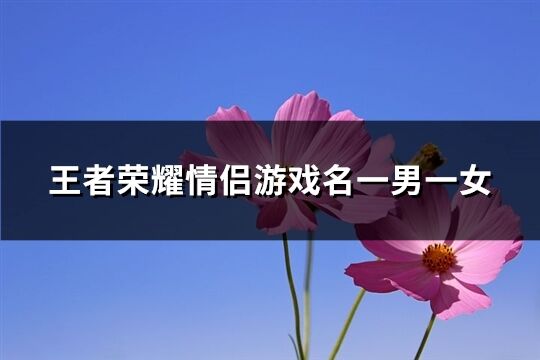 王者荣耀情侣游戏名一男一女(优选322个)