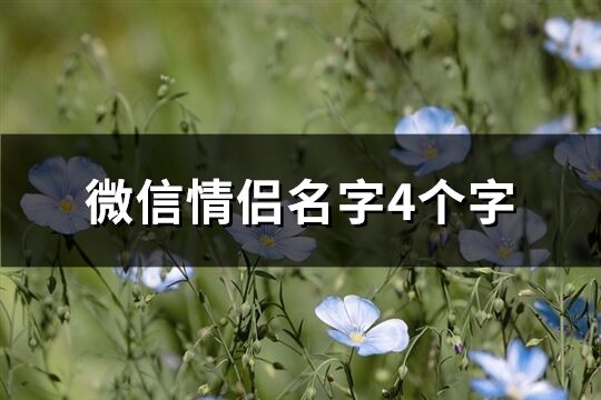 微信情侣名字4个字(优选386个)