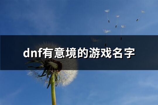 dnf有意境的游戏名字(优选337个)