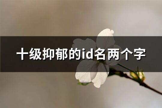 十级抑郁的id名两个字(255个)