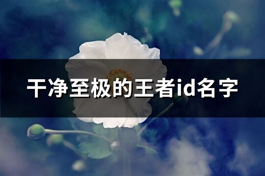 干净至极的王者id名字(优选477个)