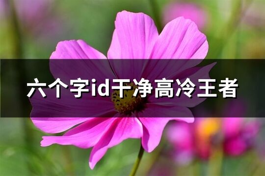 六个字id干净高冷王者(93个)