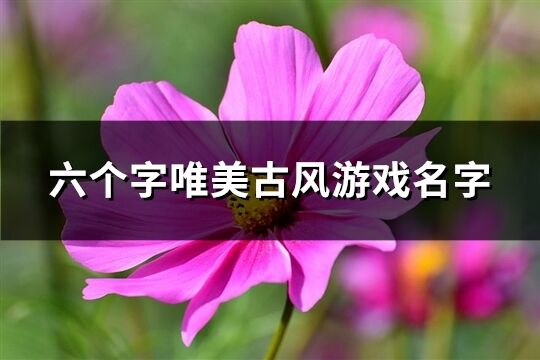 六个字唯美古风游戏名字(380个)