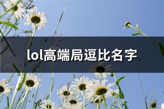 lol高端局逗比名字(共94个)