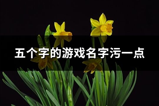 五个字的游戏名字污一点(共278个)