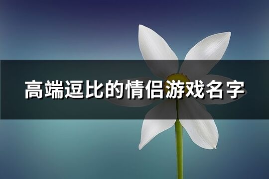 高端逗比的情侣游戏名字(精选75个)