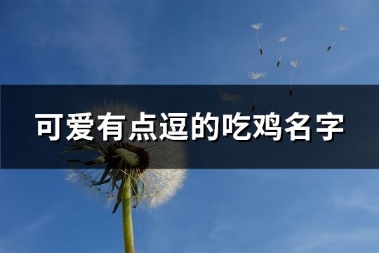 可爱有点逗的吃鸡名字(优选284个)