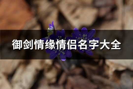 御剑情缘情侣名字大全(优选72个)