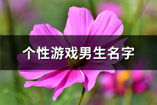 个性游戏男生名字(共256个)