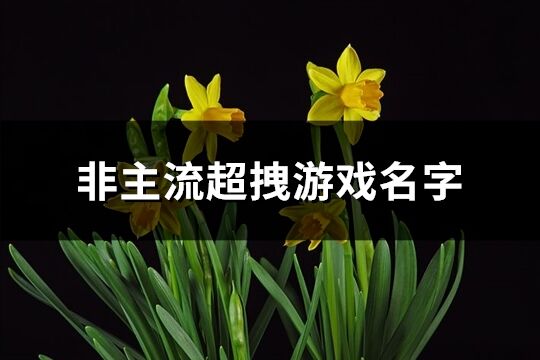 非主流超拽游戏名字(优选141个)