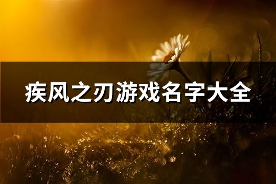 疾风之刃游戏名字大全(优选168个)