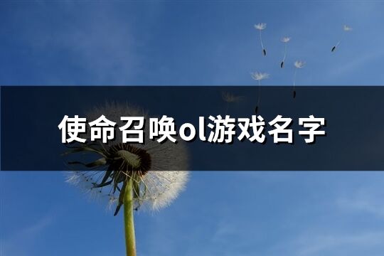 使命召唤ol游戏名字(268个)