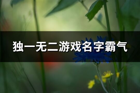 独一无二游戏名字霸气(优选233个)