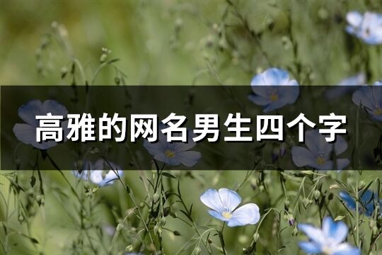 高雅的网名男生四个字(共1002个)